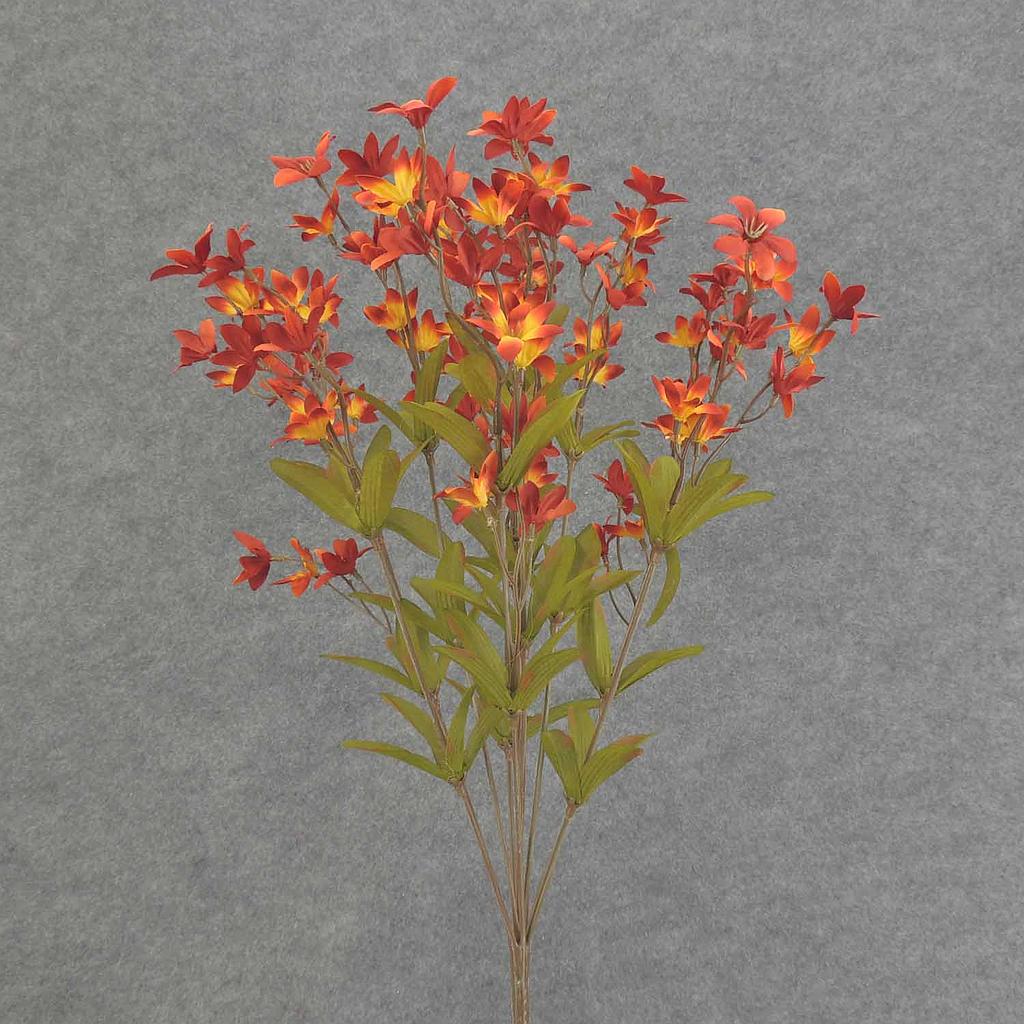 TWEEDIA BUSH X10 21"