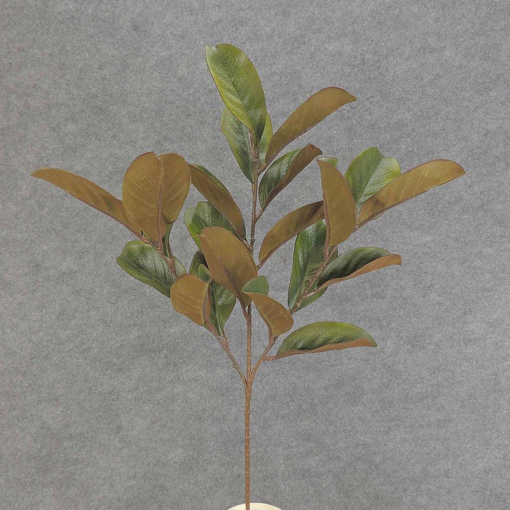 MAGNOLIA LEAF SPRAY X3 27"