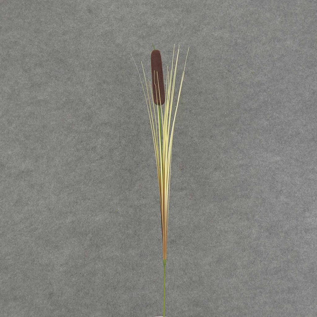 32" CATTAIL SPRAY 12/BAG 1x5" ct