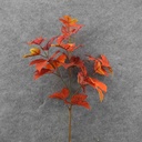MAPLE LEAF SPRAY X3 AUTUMN