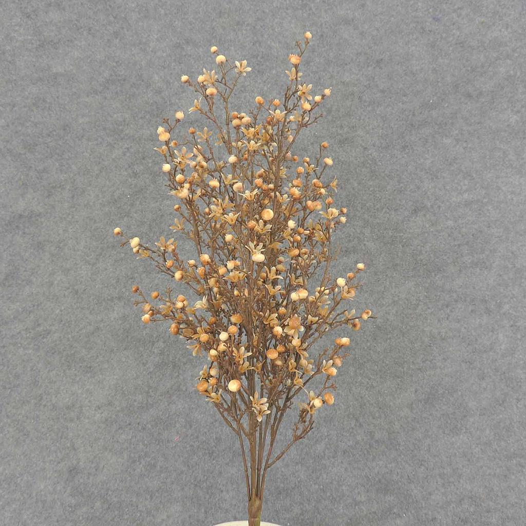BERRY/WAXFLOWER BUSH X7 21" O.D.  BROWN