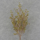 20" BLOSSOM/BERRY BUSH GREEN