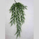 31" EUCALYPTUS HANGING BUSH DUSTY GREEN
