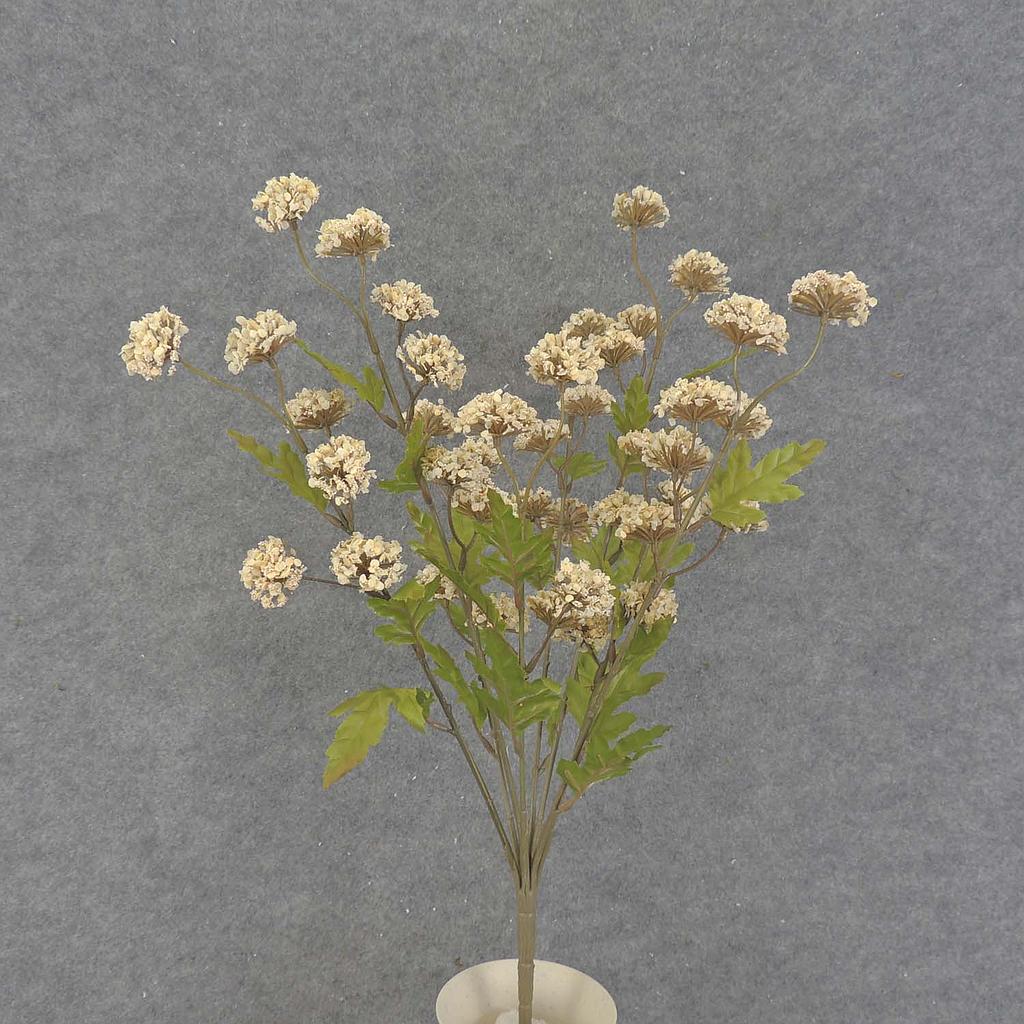 THISTLE BUSH X8                  BEIGE