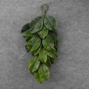 MAGNOLIA LEAF TEARDROP 26&quot;