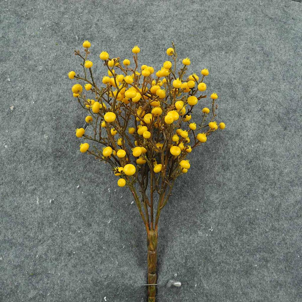 11" BERRY PICK OD PLASTIC MUSTARD