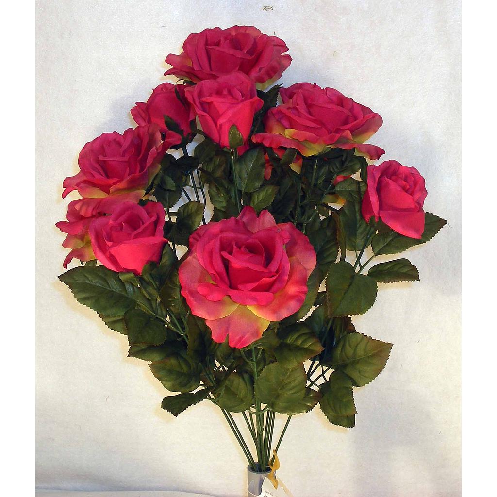 ROSE/ROSE BUD BUSH X12 FUSCHIA