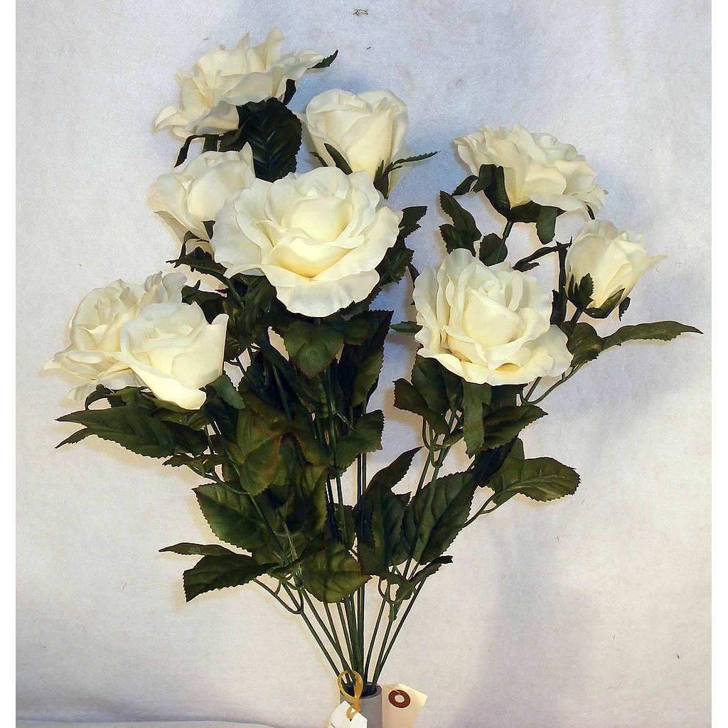 ROSE/ROSE BUD BUSH X12 IVORY