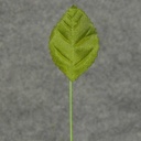 LEAVES CORSAGE SMALL GREEN (100/BAG) (1.5"T x 1"W -3.75"OAL)