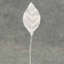 LEAVES CORSAGE MEDIUM WHITE/IRR (100/BAG)