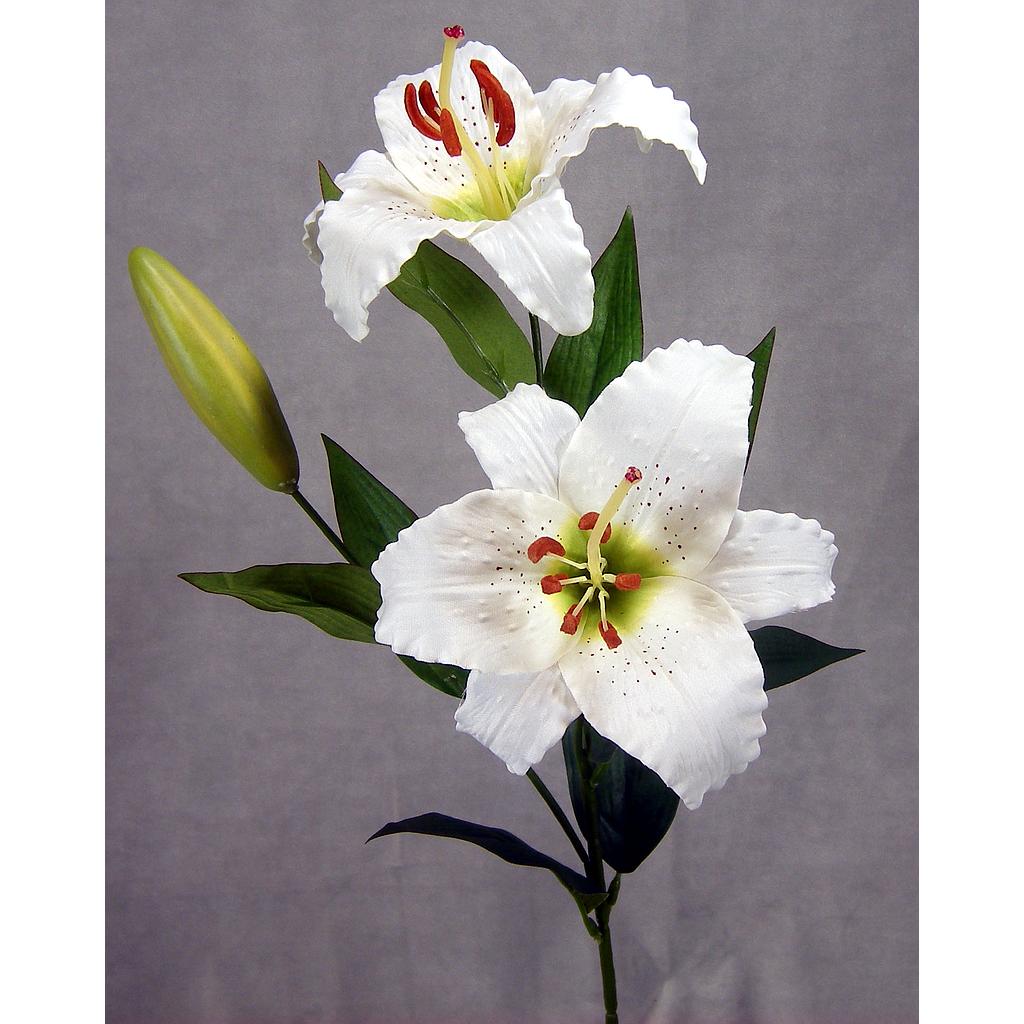 [SE27-CWT] LILY SPRAY X2 BLMS X1 BUD