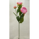 PEONY SPRAY X2 BLMS X1 BUD  PINK