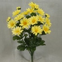 DAISY BUSH X14  YELLOW