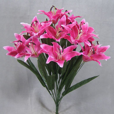 LILY TIGER BUSH X14  RUBRUM
