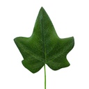 IVY LEAF 2.75" X 2.5"  (100/BG)