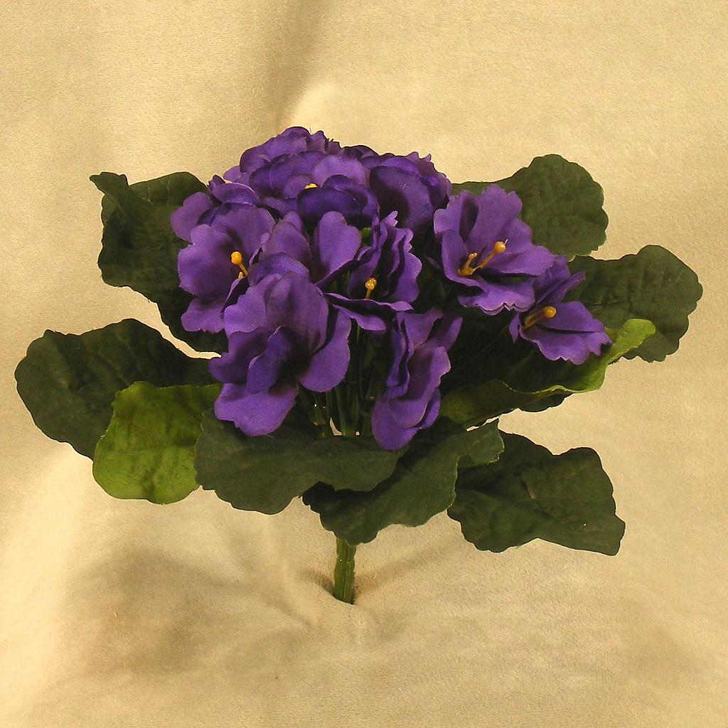 [SE337-PUR] PRIMULA (AFRICAN VIOLET) BOUQUET PURPLE