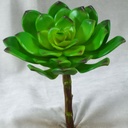 7" CACTUS LOTUS PICK HEN&CHICK