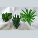 8.25" CACTUS 3-ASST' D PICK GREEN (3-AST/BAG)