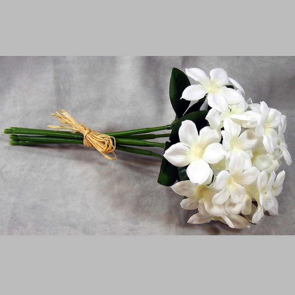 STEPHANOTIS BUNDLE X5 W/RAFFIA