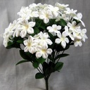 STEPHANOTIS BUSH X12 16"