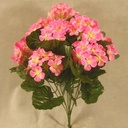 GERANIUM BUSH X9   PINK