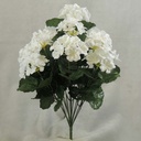 GERANIUM BUSH X14 CREAM/WHITE