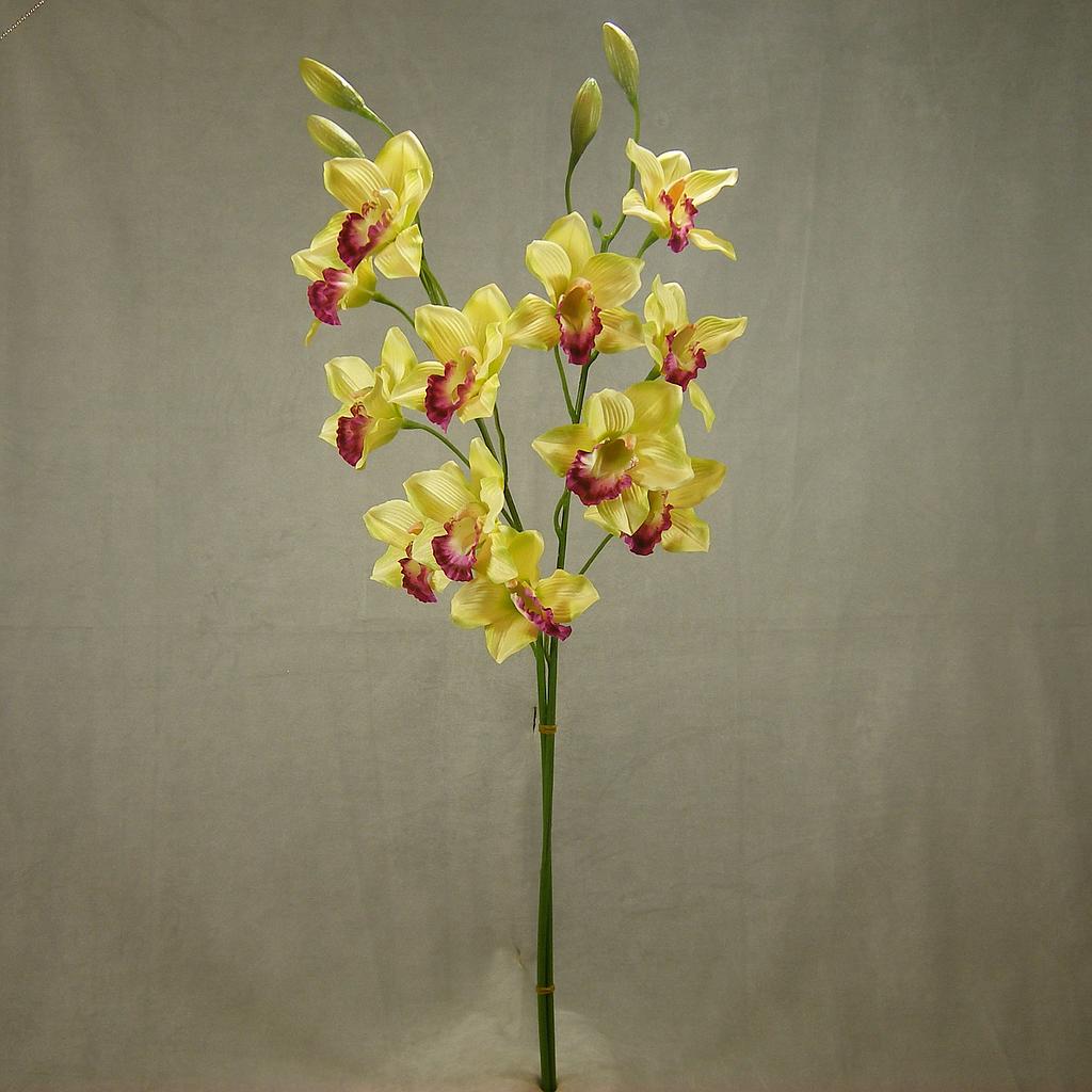 37" CYMBIDIUM ORCHID X6  (2/BUNDLE)  GREEN
