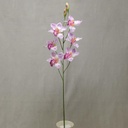 37" CYMBIDIUM ORCHID X6  (2/BUNDLE)  LAVENDER