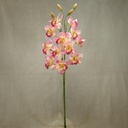 37" CYMBIDIUM ORCHID X6  (2/BUNDLE)  PINK