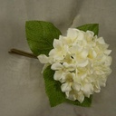 HYDRANGEA SATIN (3/BUNDLE)  CREAM