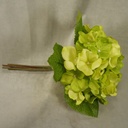 HYDRANGEA SATIN (3/BUNDLE)  GREEN