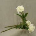 16" ROSE OPEN SPRAYx1 (3/BUNDLE) CREAM