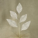 LEAF ROSE SATIN PICK 7.5"(6/BG)  WHITE