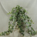 40" IVY ENGLISH HANGER 244 LVS FROSTED