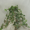 40" IVY ENGLISH HANGER 244 LVS