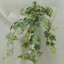 IVY ENGLISH HANGER 28" 144 LVS  FROSTED