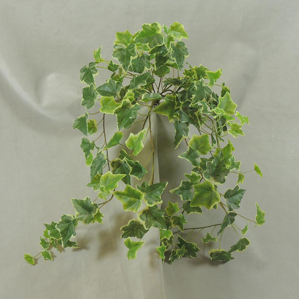 [SE4051-VAR] 28" IVY ENGLISH HANGER 144 LVS VARIGATED