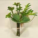 [SE4068] 8" CACTUS ASSORTMENT 3-ASST' D (3/BAG)