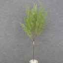 APARAGUS FERN SPRAY 28" (3/BDL) GREEN