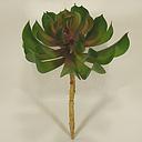 CACTUS PICK 4.5"D X 6"T  GREEN/MAUVE
