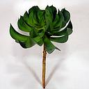 [SE4089-GRN] 4.5" CACTUS PICK D X 6" T GREEN