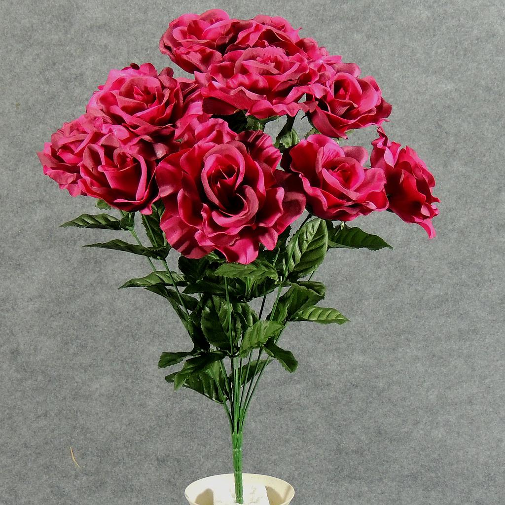 ROSE OPEN BUSH X12   BEAUTY