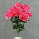 ROSE OPEN BUSH X12   HOT PINK