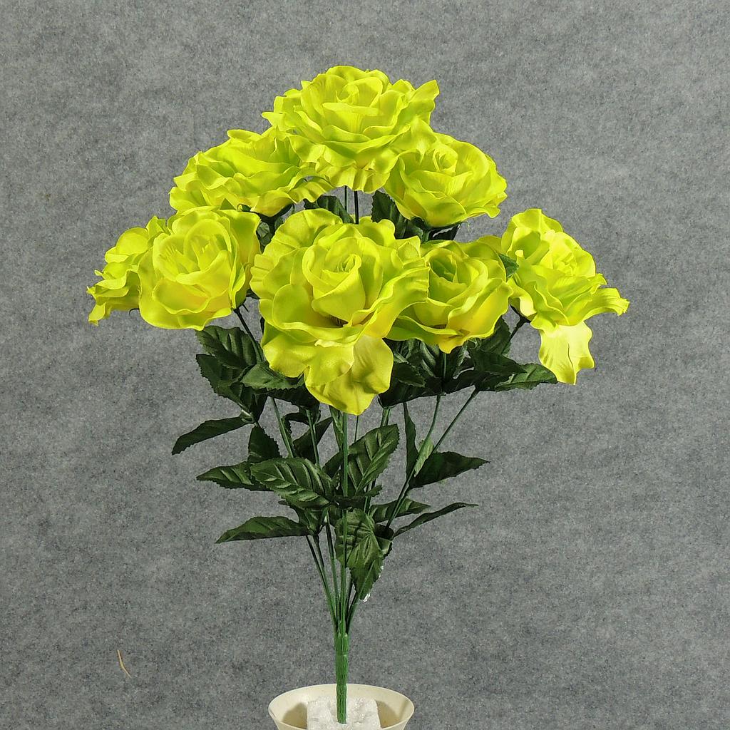 [SE4103-LGN] ROSE OPEN BUSH X12 LIME GREEN