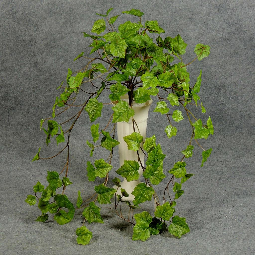 GRAPE IVY HANGING BUSH 20"