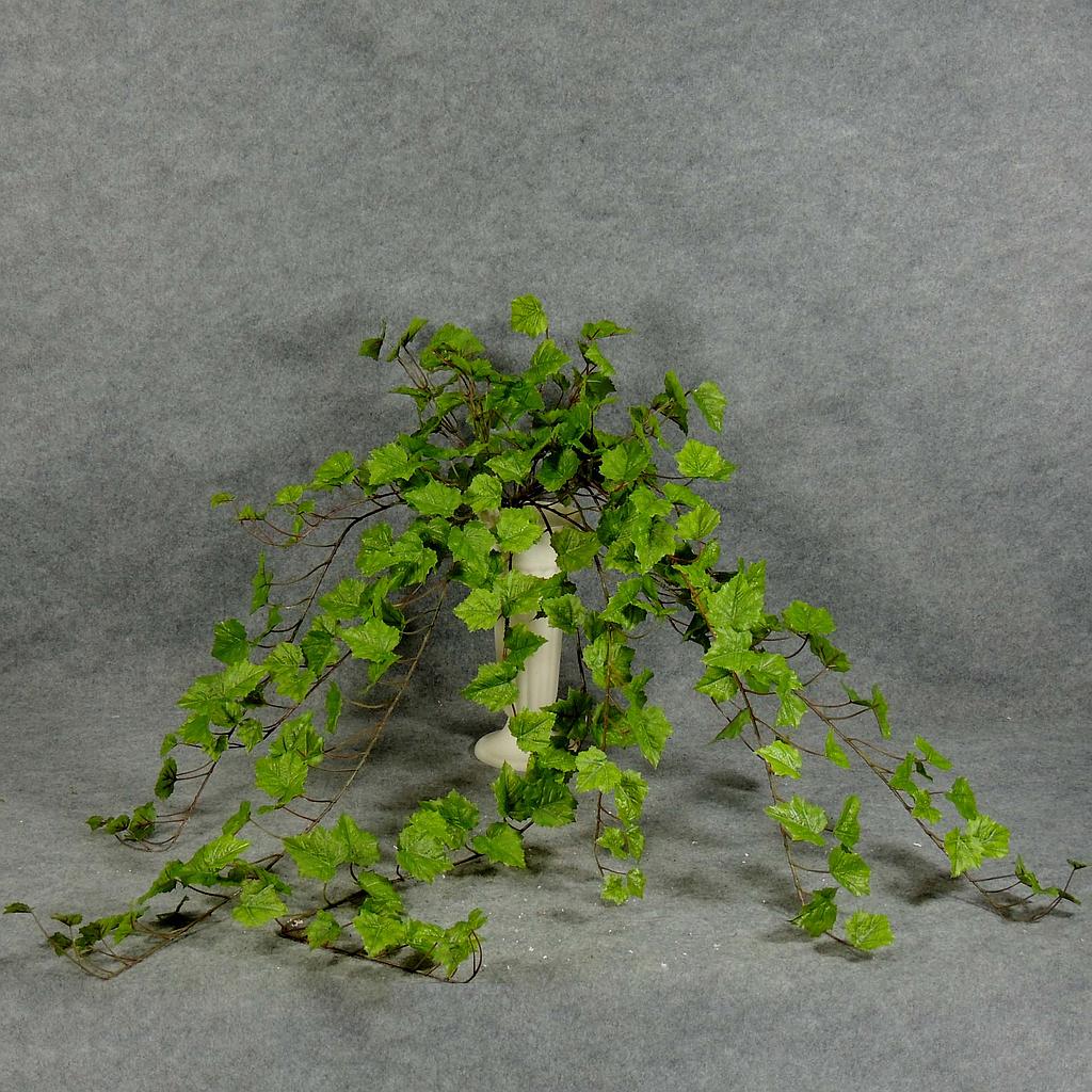 GRAPE IVY HANGING BUSH 41"