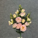 ROSE/ROSE BUD/GLAD HALF BUSHx15  PINK