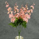 DELPHINIUM BUSH X5 23"  PINK