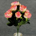 PEONY BUSH X10   CREAM/PINK