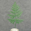 LEATHERLEAF LARGE PLASTIC 15.5&quot;H X 9&quot;W